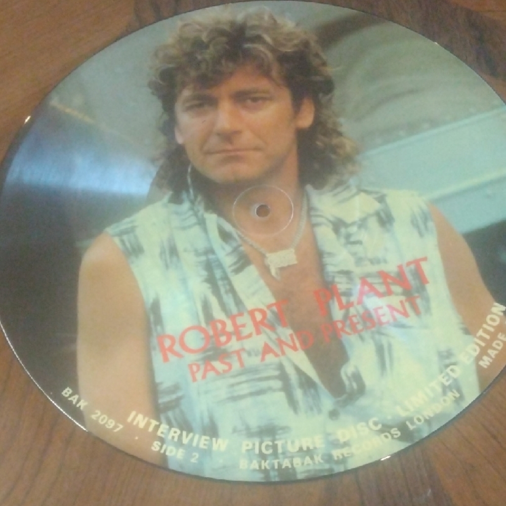 Led Zeppelin Robert Plant Interview Picture Disc 1982